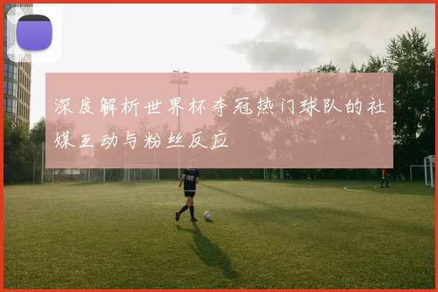 深度解析世界杯夺冠热门球队的社媒互动与粉丝反应