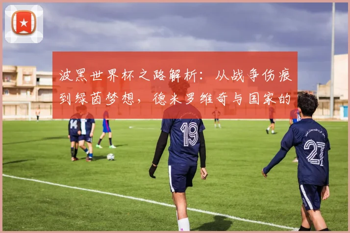 波黑世界杯之路解析:从战争伤痕到绿茵梦想,德米罗维奇与国家的足球故事