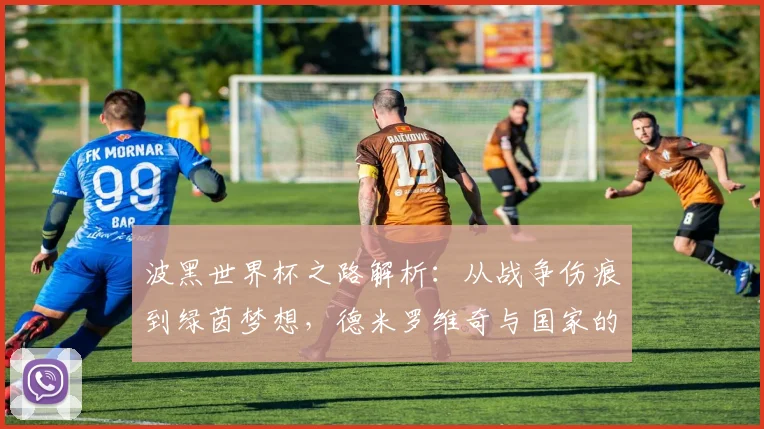 波黑世界杯之路解析:从战争伤痕到绿茵梦想,德米罗维奇与国家的足球故事