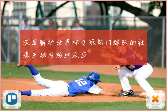 深度解析世界杯夺冠热门球队的社媒互动与粉丝反应